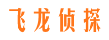 龙泉驿飞龙私家侦探公司